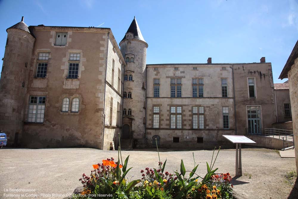Château de Terre Neuve à Fontenay le Comte